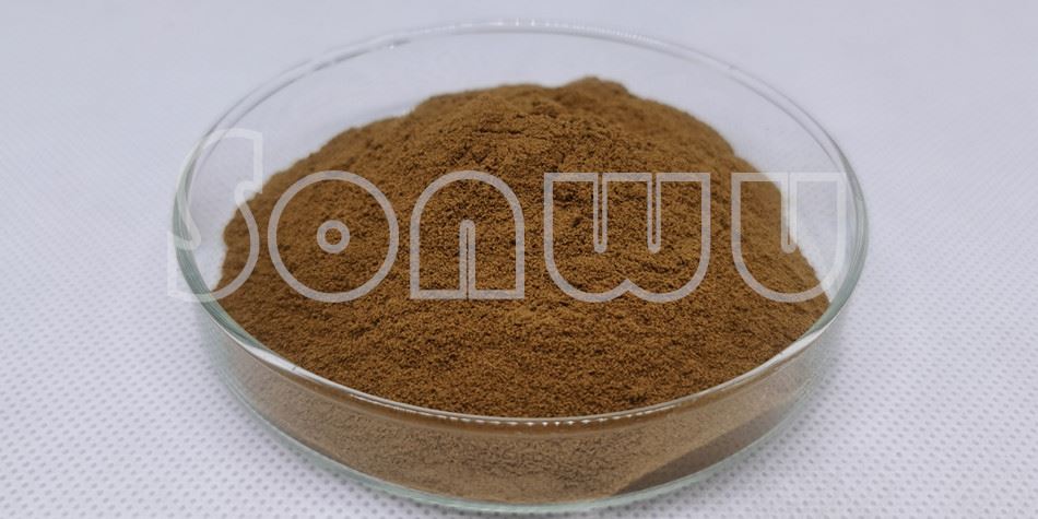 Rhodiola rosea root powder