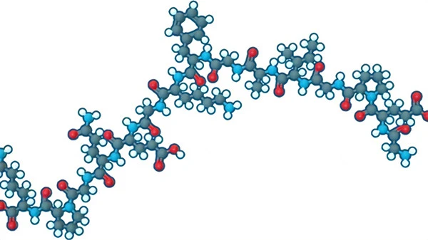 Type II collagen supplements