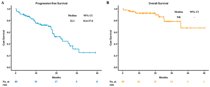 Osimertinib With Or Without Chemotherapy In Egfr-Mutated Advanced Nsclc Osimertinib With Or Without Chemotherapy In Egfr-Mutated Advanced Nsclc